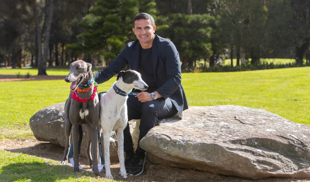 this is an image of Tim Cahill with greyhounds