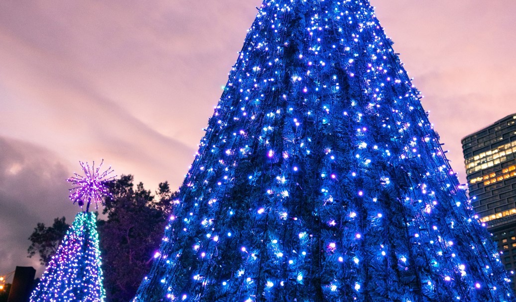 This is an image of a Christmas tree with lights
